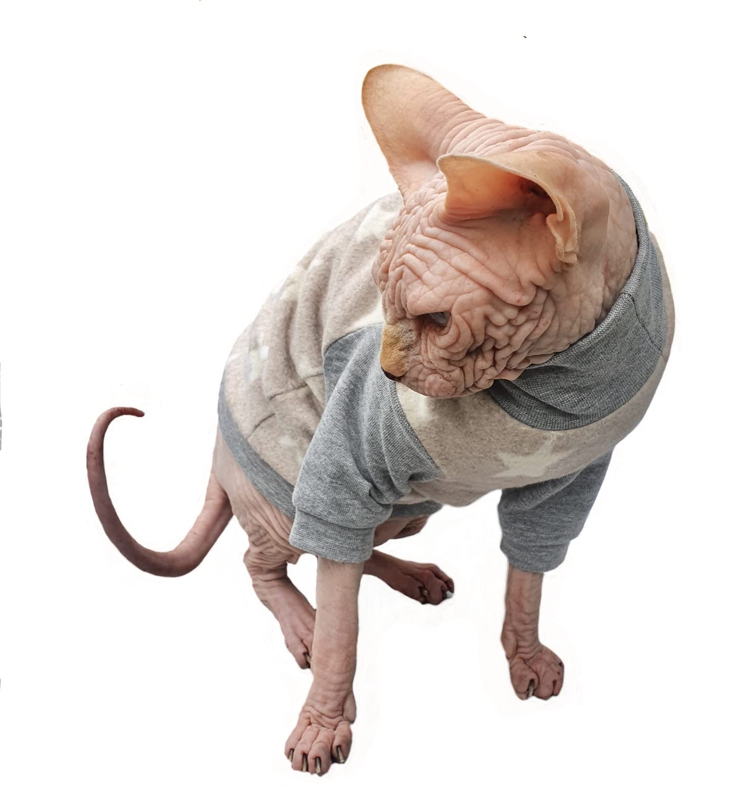 Kotomoda Hairless Cat'S Cotton Stretch Winter Sweater Sort Stars. Organic Fleece For Sphynx Cat (X-Small)