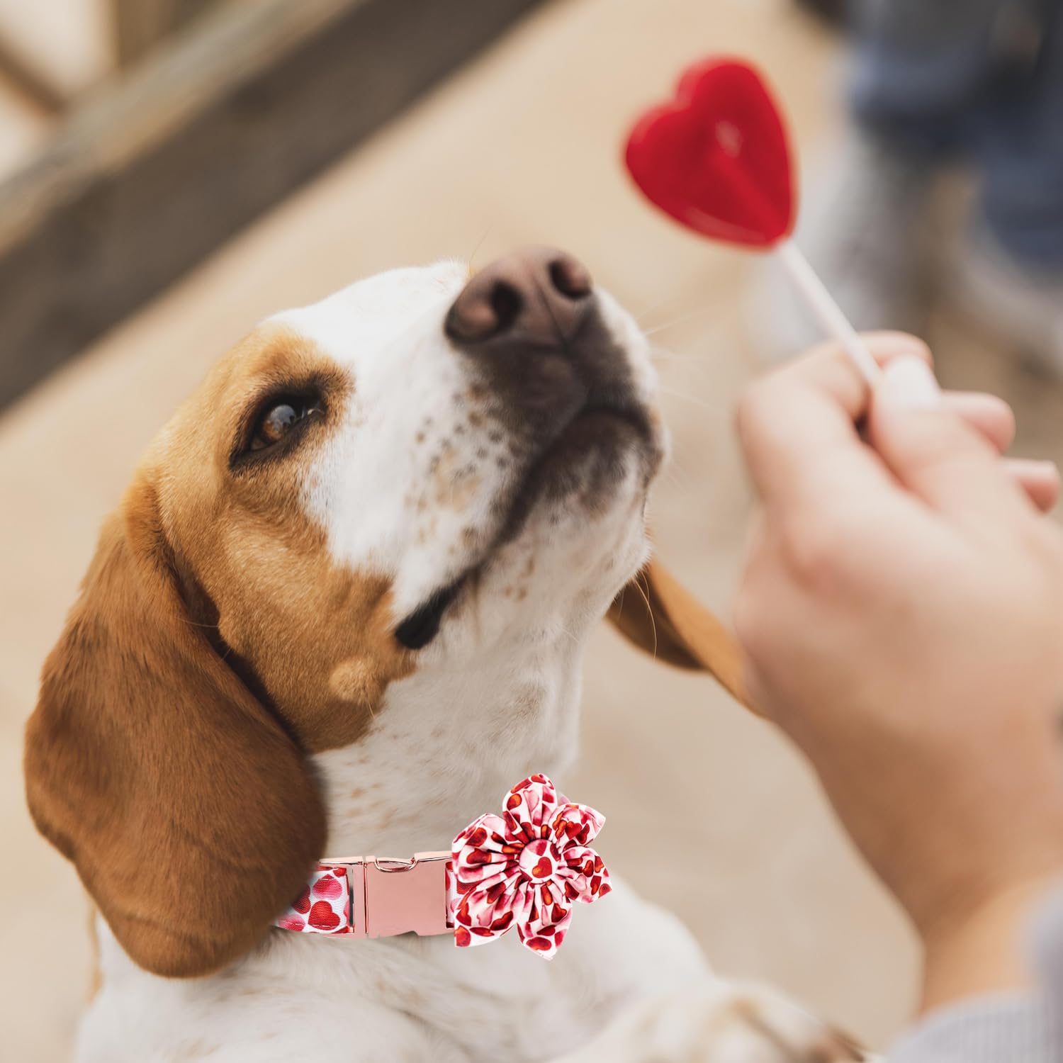 Maca Bates Valentine? Day Dog Collar With Bow/Flower/Bow Tie, Sweet Heart Adjustable Collar For Small Medium Large Dog With Metal Buckle