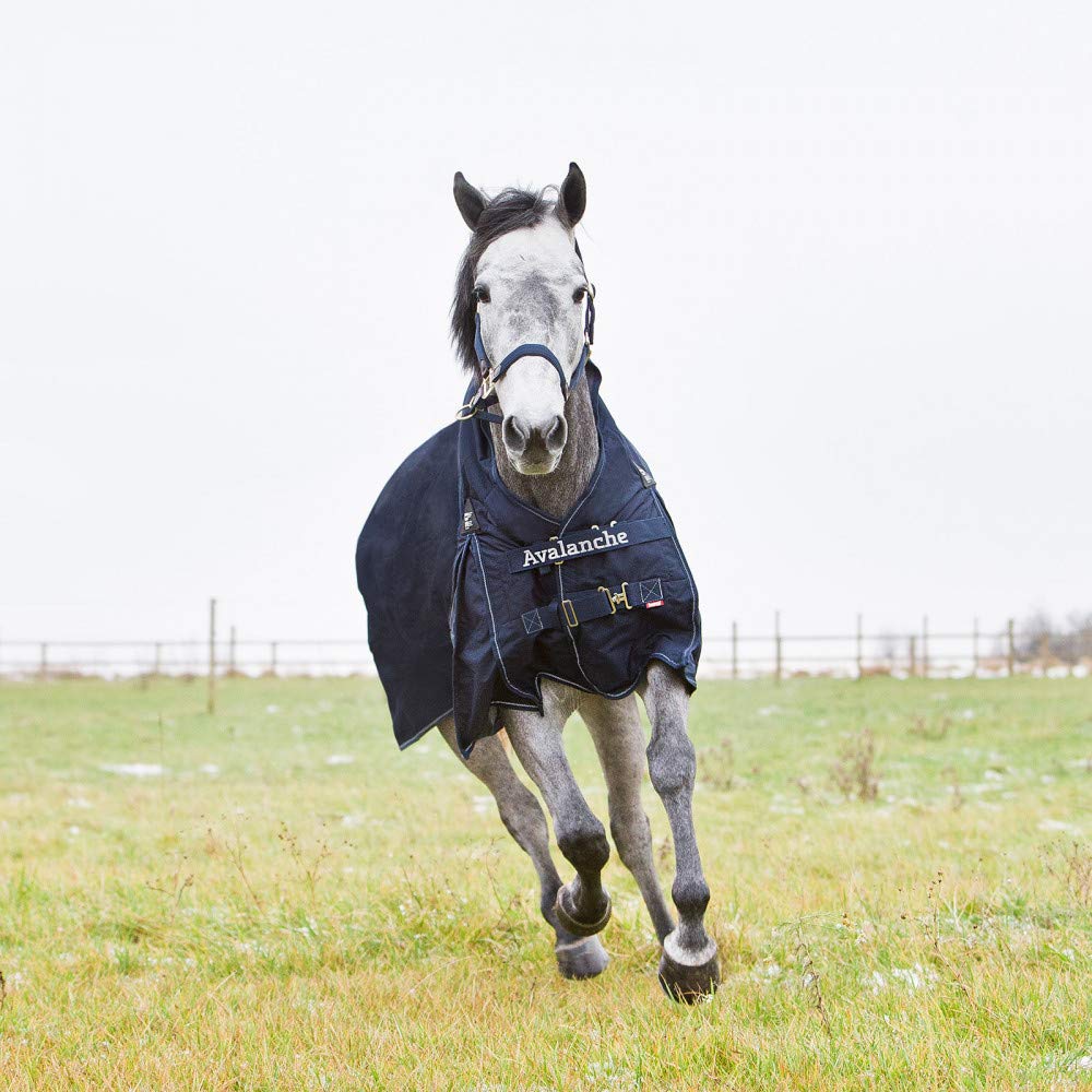 Horze Avalanche 1200D Ripstop High Neck Medium Weight Waterproof Horse Turnout Blanket (150G Fill) - Peacoat Dark Blue - 81 In