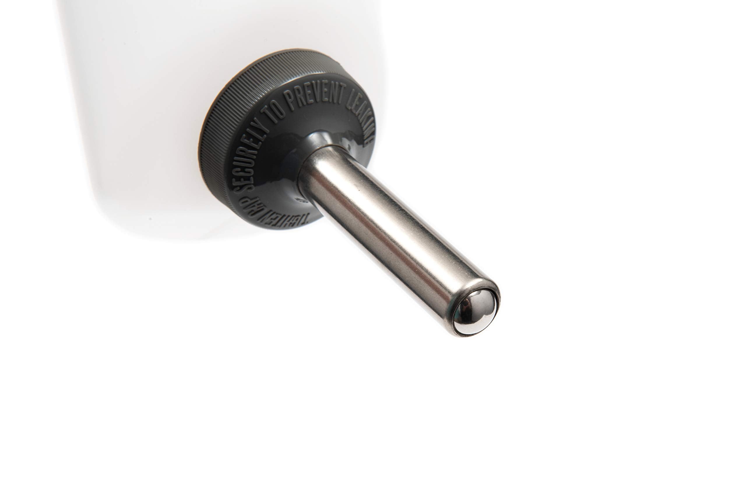 Lixit Wide Mouth Water Bottles For Large And Small Dogs (32Oz Large Dog, White)