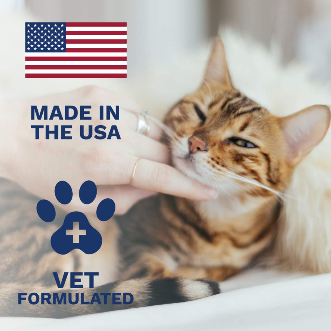 Under the Weather Anti-Diarrhea Liquid for Cats - 4 oz Bottle, Soothe Upset Stomach & Provide Diarrhea Relief