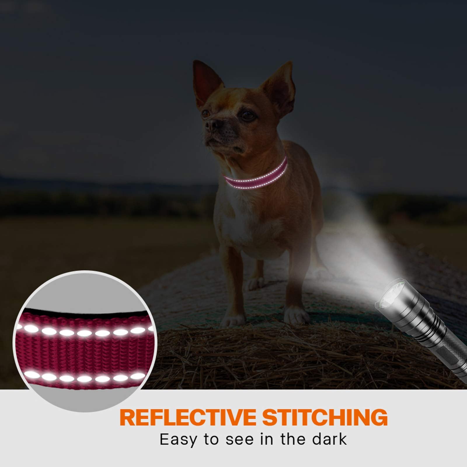 Taglory Reflective Dog Collar With Safety Locking Buckle, Adjustable Nylon Pet Collars For Puppy Dogs, Xs, Hot Pink