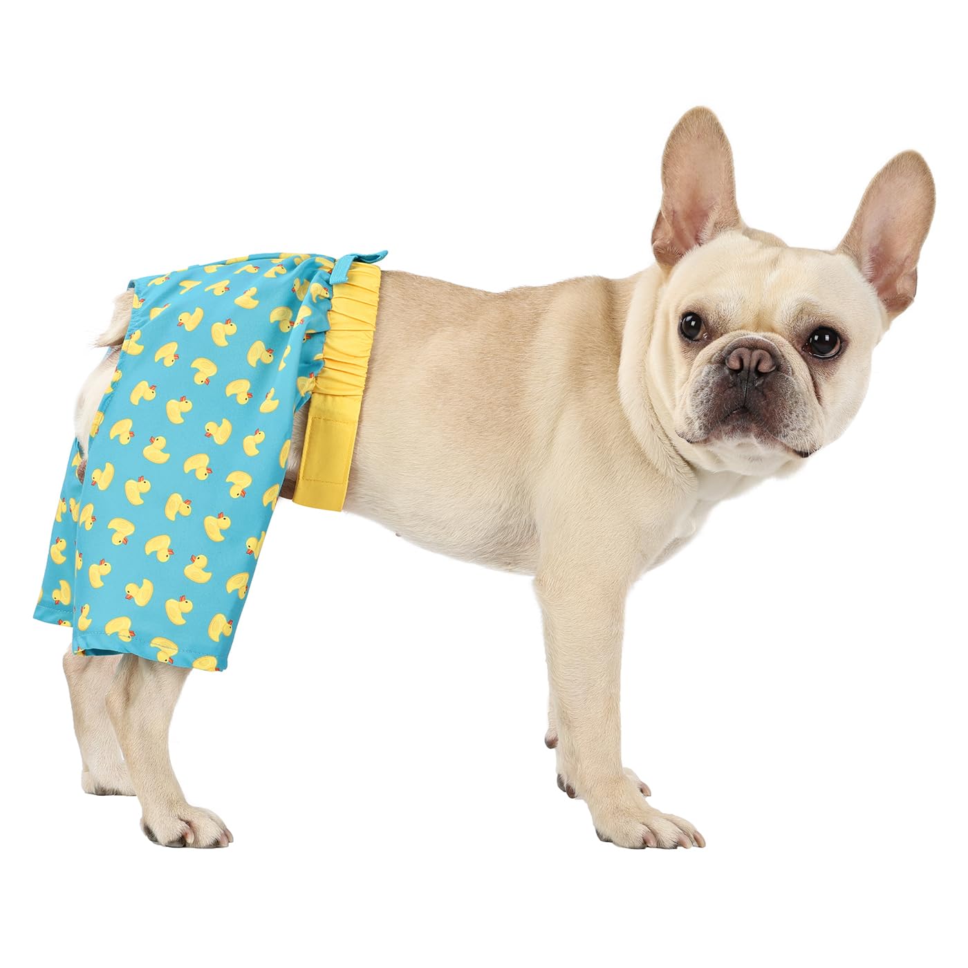Hde Dog Swim Trunks Hawaiian Board Shorts Beach Pool Swimsuit For Xs To Xxl Dogs Teal Rubber Ducks - S
