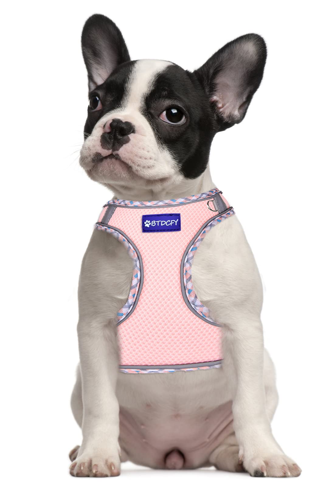 BTDCFY Step-in Mesh Dog Harness & Leash Set, Breathable, Reflective, Escape-Proof, XS, Pink