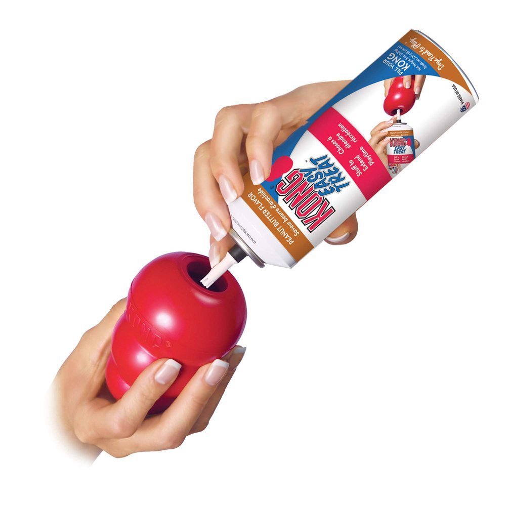 2-Pack Large Kong Classic