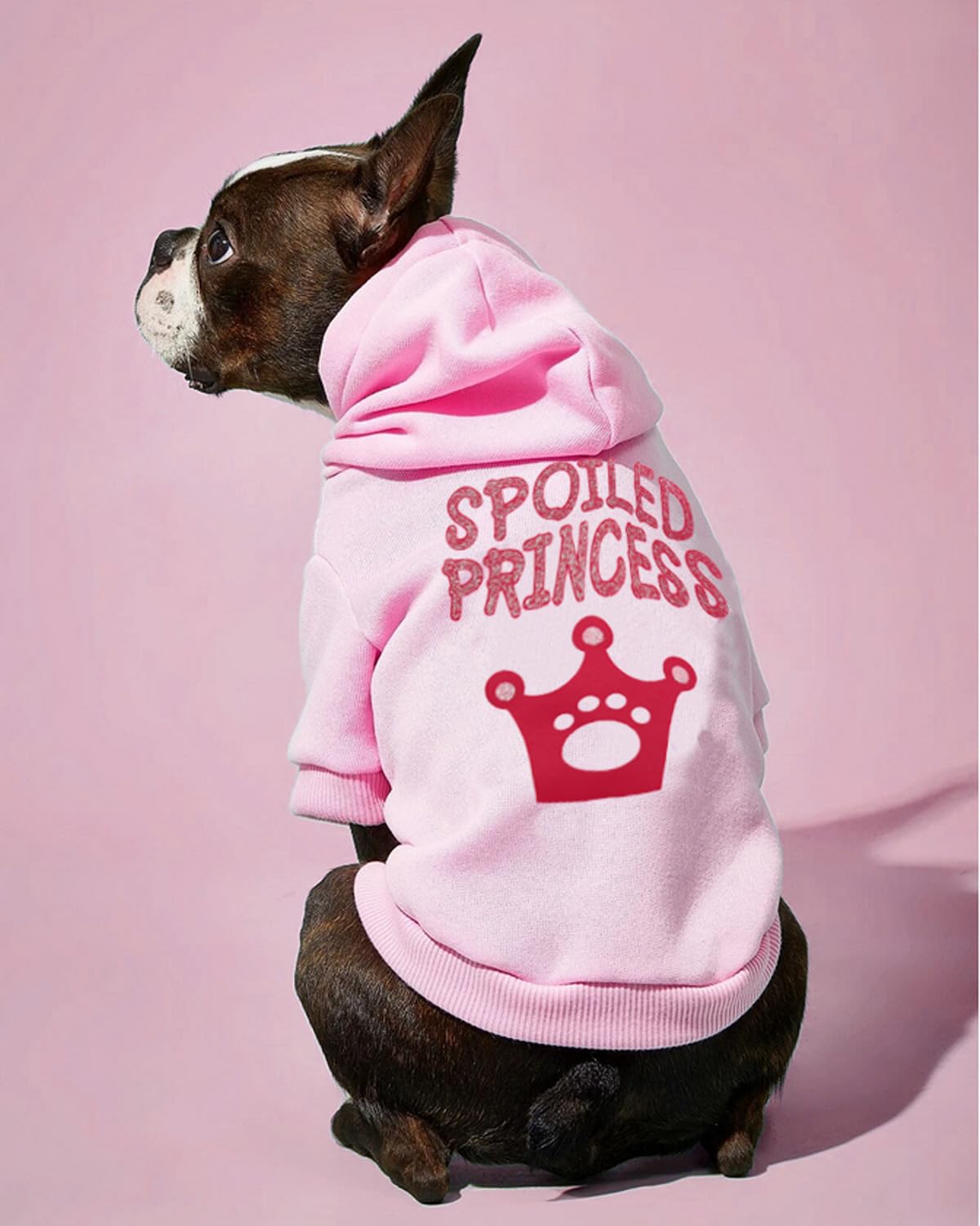 Droolingdog Princess Girl Dog Sweatshirts Puppy Hoodie Girls Dog Hoodies Crown Girl Dog Clothes Small Dog Girl Clothes