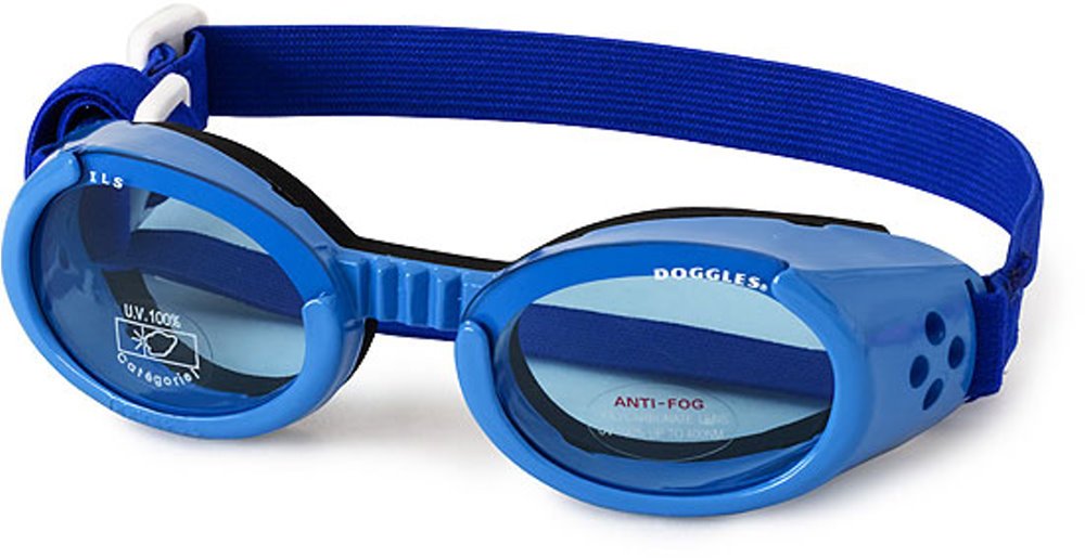 Doggles ILS XL Shiny Blue Frame with Blue Lens Dog Goggles