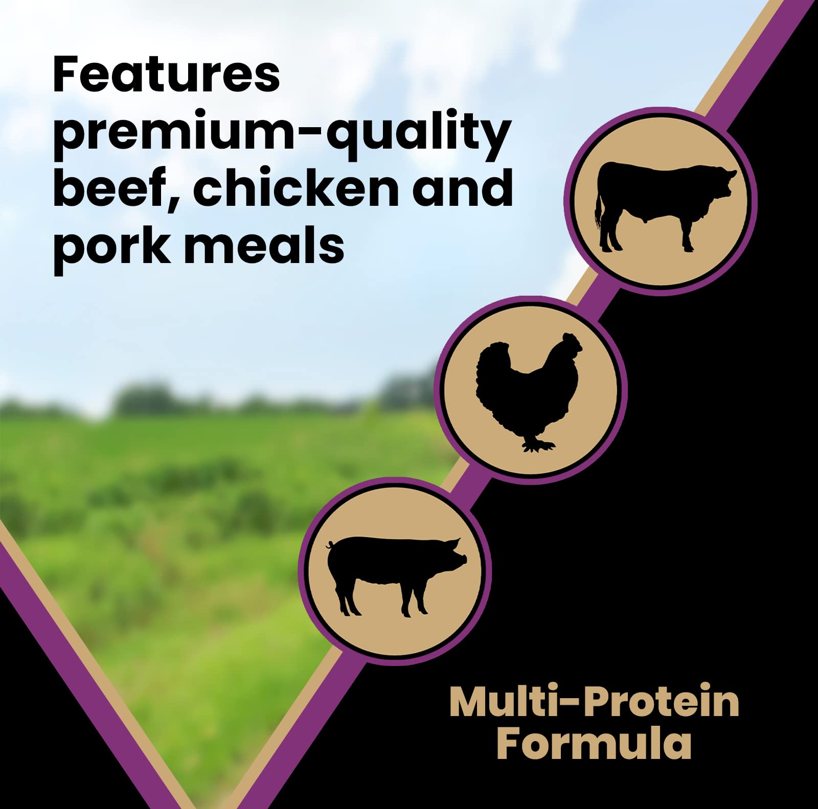 VICTOR Super Premium Professional Dry Dog Food - 26% Protein, Gluten Free - for High Energy and Active Dogs & Puppies, 40lbs
