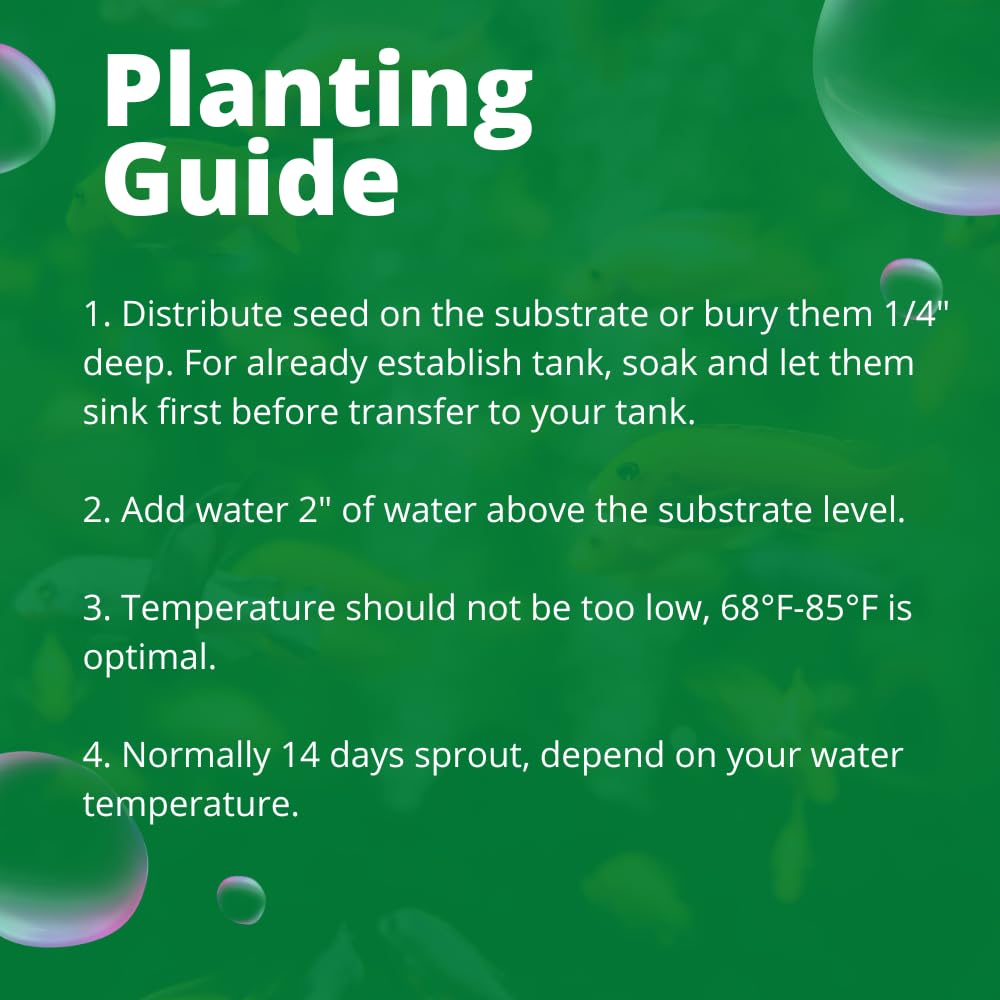 Generic Fresh Water Live Aquarium Plant Seeds, Easy Growing, Dwarf Carpet Decor for Fish Tank/Terrarium - 1 Pack (Lucky Grass)