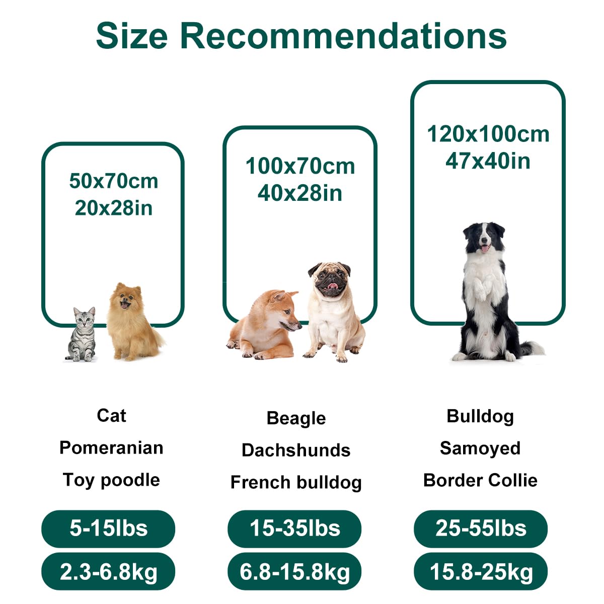 Onarway Dog Blanket Washable For Puppy: 4 Packs Dog Blankets 40   X28    - Fluffy Soft Small Throw For Cat Puppy Kitten Dogs - F