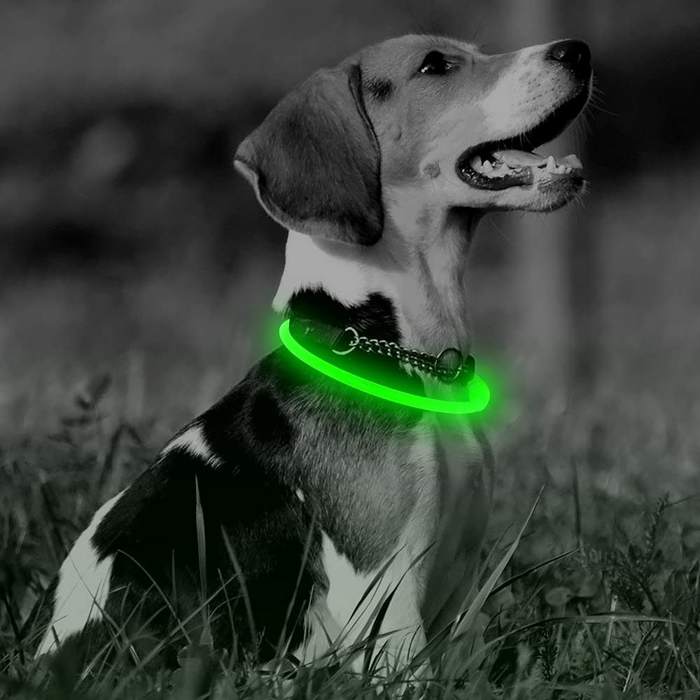 Higo Led Dog Collar, Usb Rechargeable Light Up Dog Collars, Diy Flashing Dog Necklaces For Dog Walking At Night (Green)