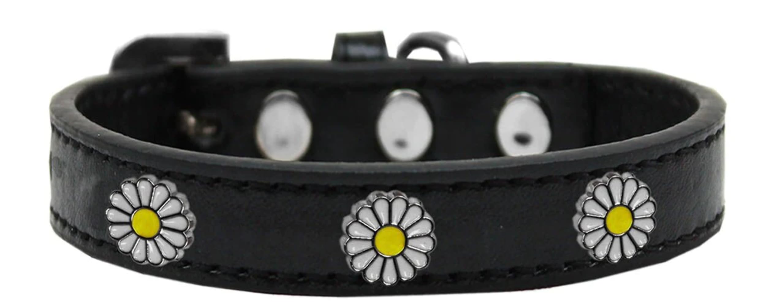 Dog, Puppy and Pet Widget Fashion Collar, &quot;White Daisies&quot; Aqua 18
