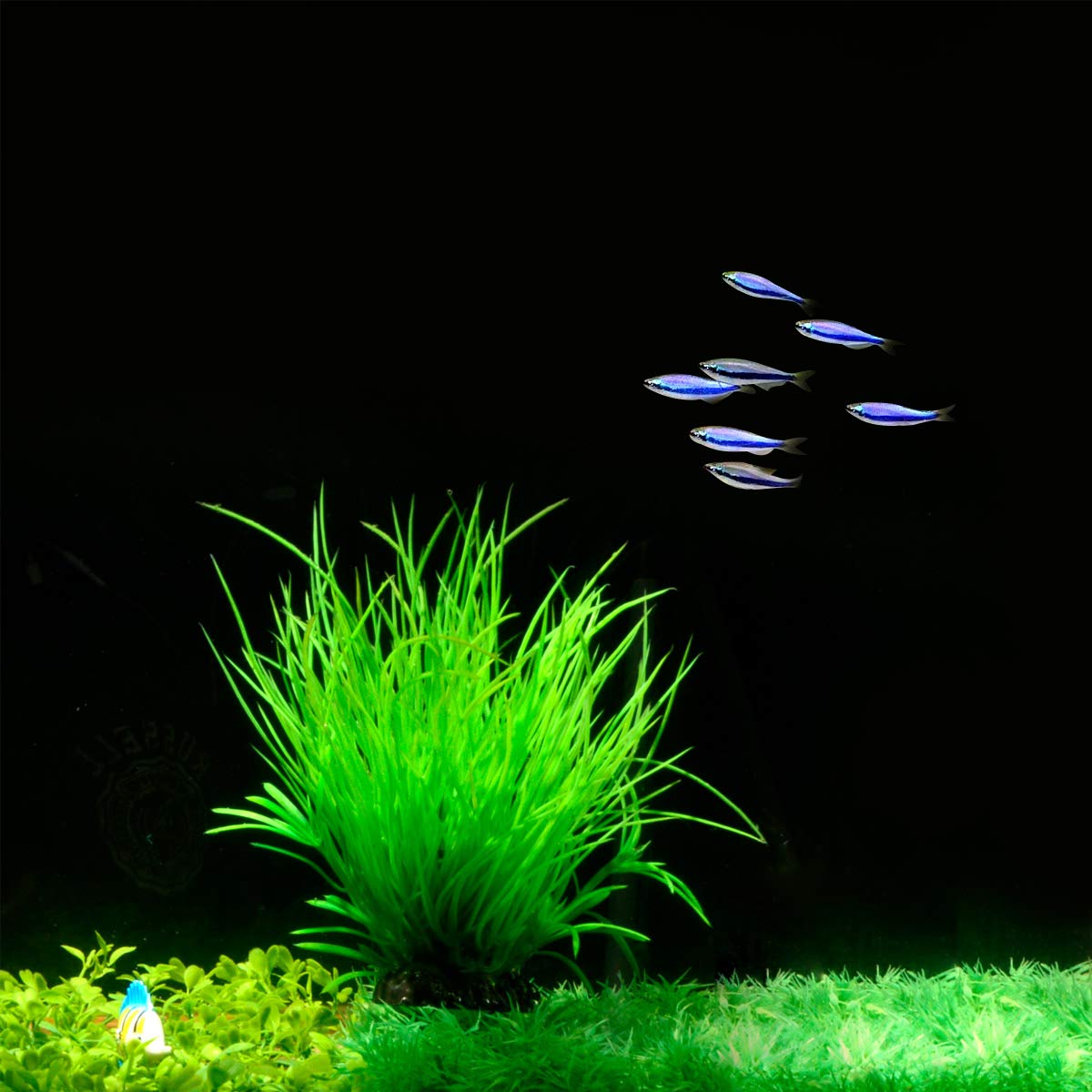 Saim Artificial Plastic Plant Decoration Long Leaf Grass Fish Tank Decor Aquarium Plants Ornament Green 1-Piece