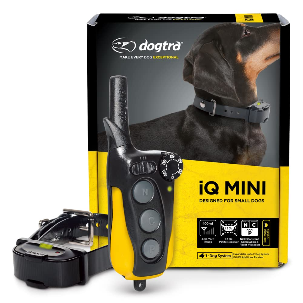 Dogtra Iq Mini Rechargeable Waterproof Mini Dog Training E-Collar With Water-Resistant Remote