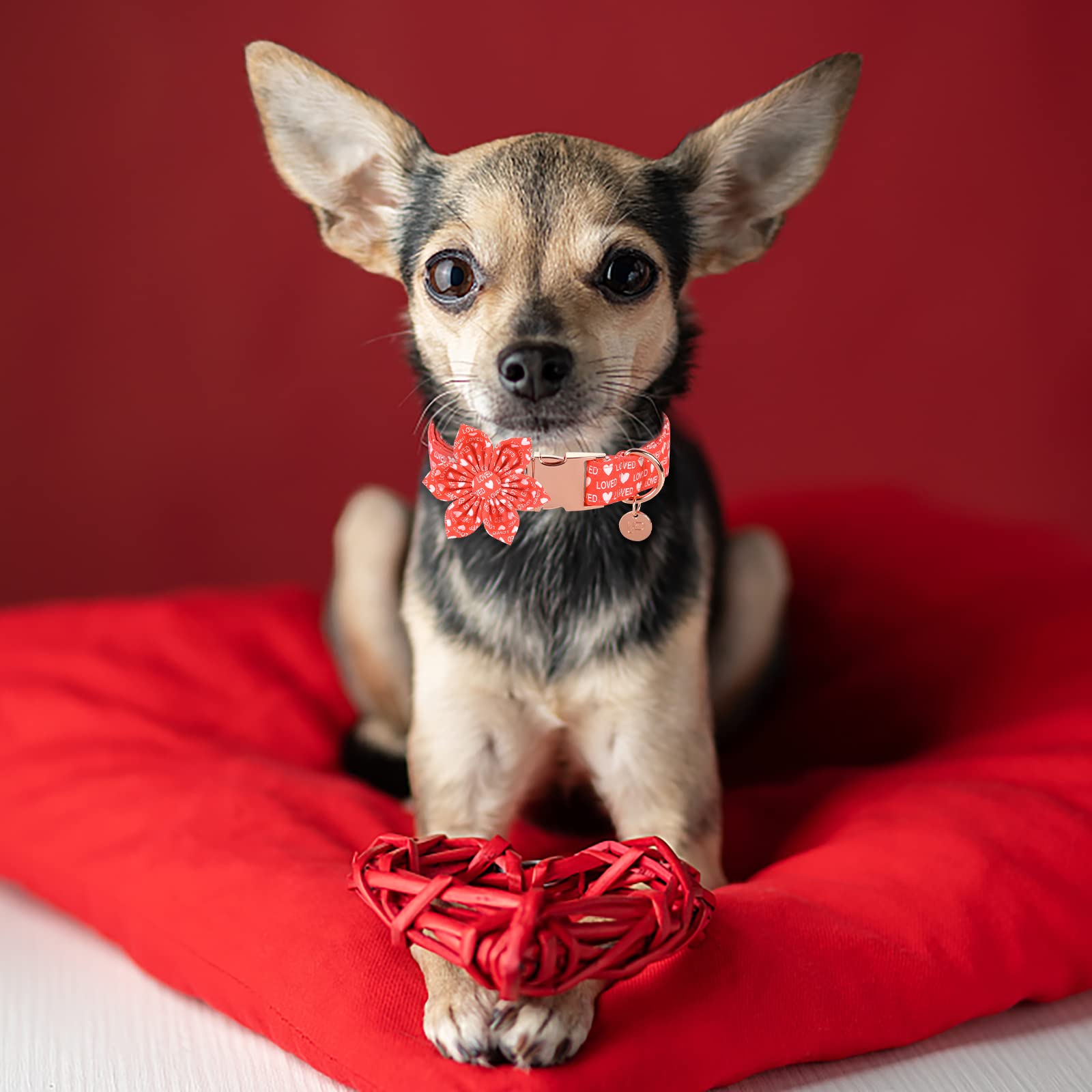 Up Urara Pup Valentine’S Day Dog Collar With Flower, Valentine Flower Collar With Metal Buckle, Valentine’S Day Gift Pet Collar For Puppy Girl Dog Or Cat, Wedding Dog Collar, Red, Xs, Neck 8-12In