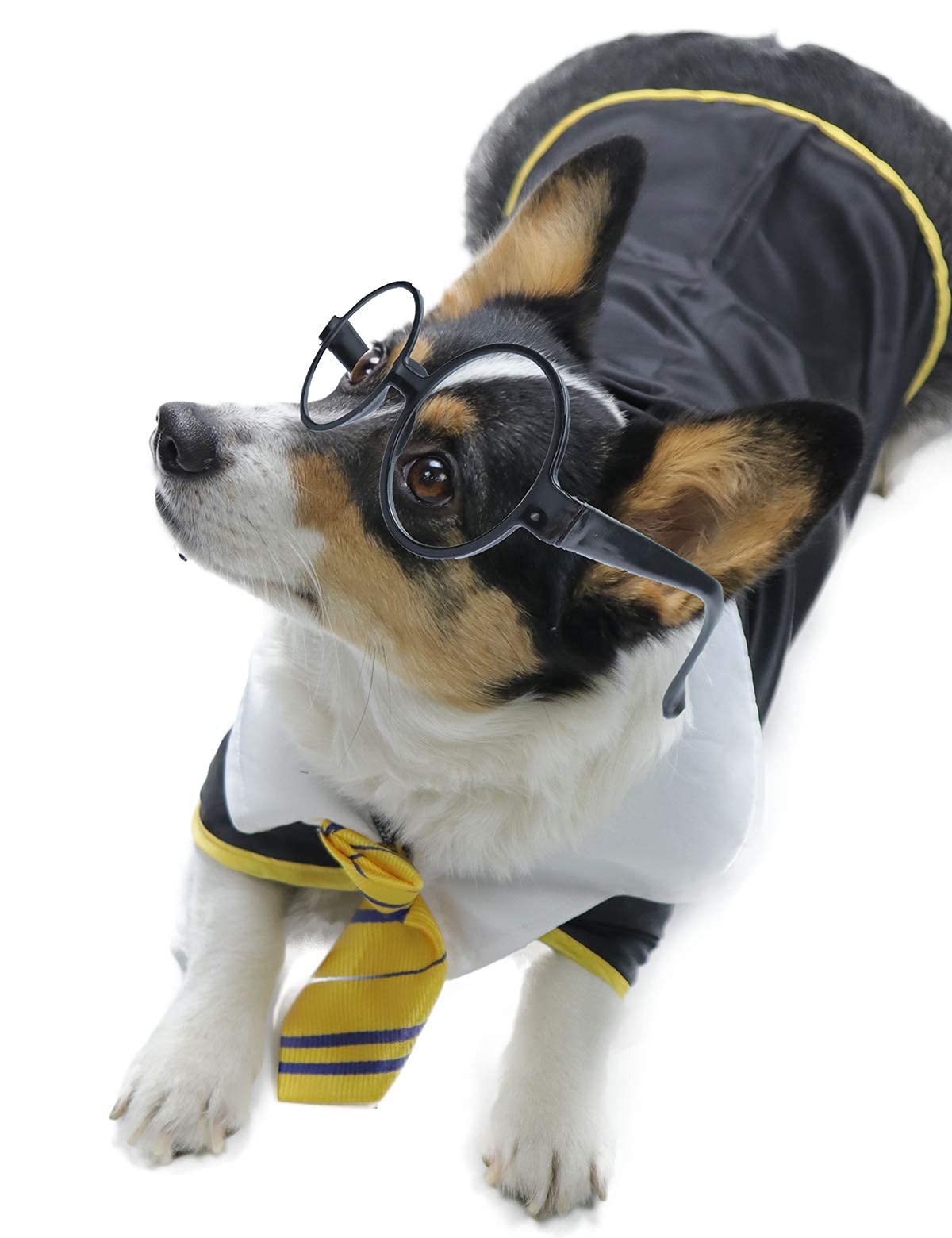Impoosy Pet Dog Halloween Shirts Funny Cat Wizard Costume Pet Cute Apparel Soft Clothes With Glasses (Medium,Neck:14')