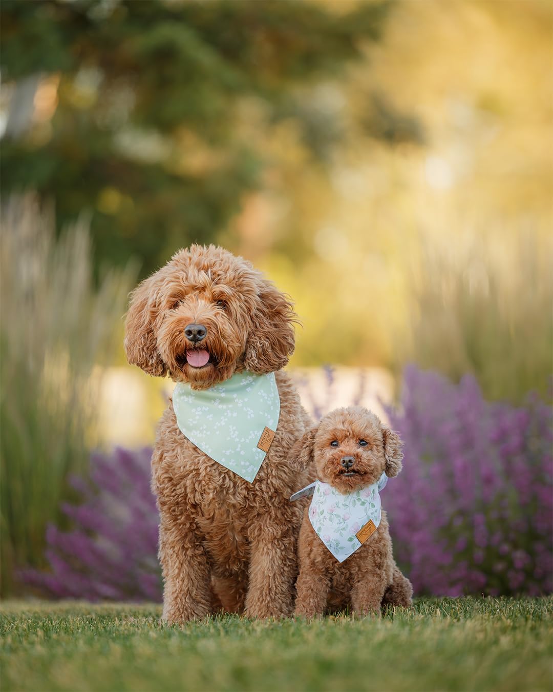 Remy+Roo Spring Dog Bandanas - 4 Pack Gemma Set | Premium Durable Adjustable Polyester Fabric | Patented Shape Girl Dog Bandana,