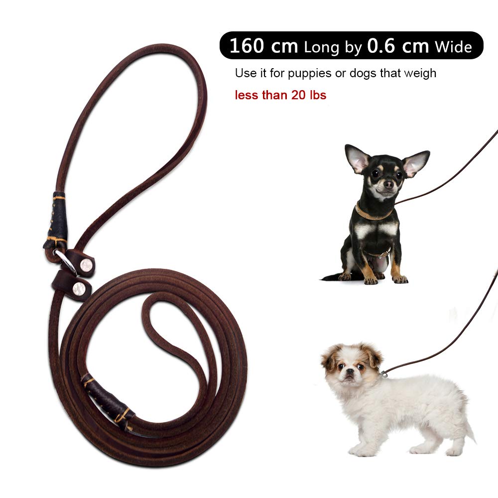 Wellbro Real Leather Slip Dog Leash, Adjustable 160cm, Soft & Slim for Puppies, Brown, Model 11289488