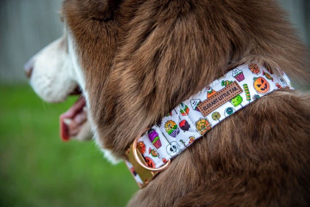 Elegant Little Tail Dog Collar With Bow - Fall Dog Collar Halloween Candy Bow Girl Boy Pet Collar Soft Dog Bowtie Collars For X-Large Dogs