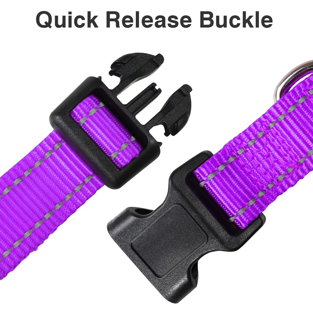Taglory Reflective Adjustable Dog Collars For Puppy Small Medium Large Dogs, Thin Nylon Webbing And Quick Release Plastic Buckle(Purple,Large)