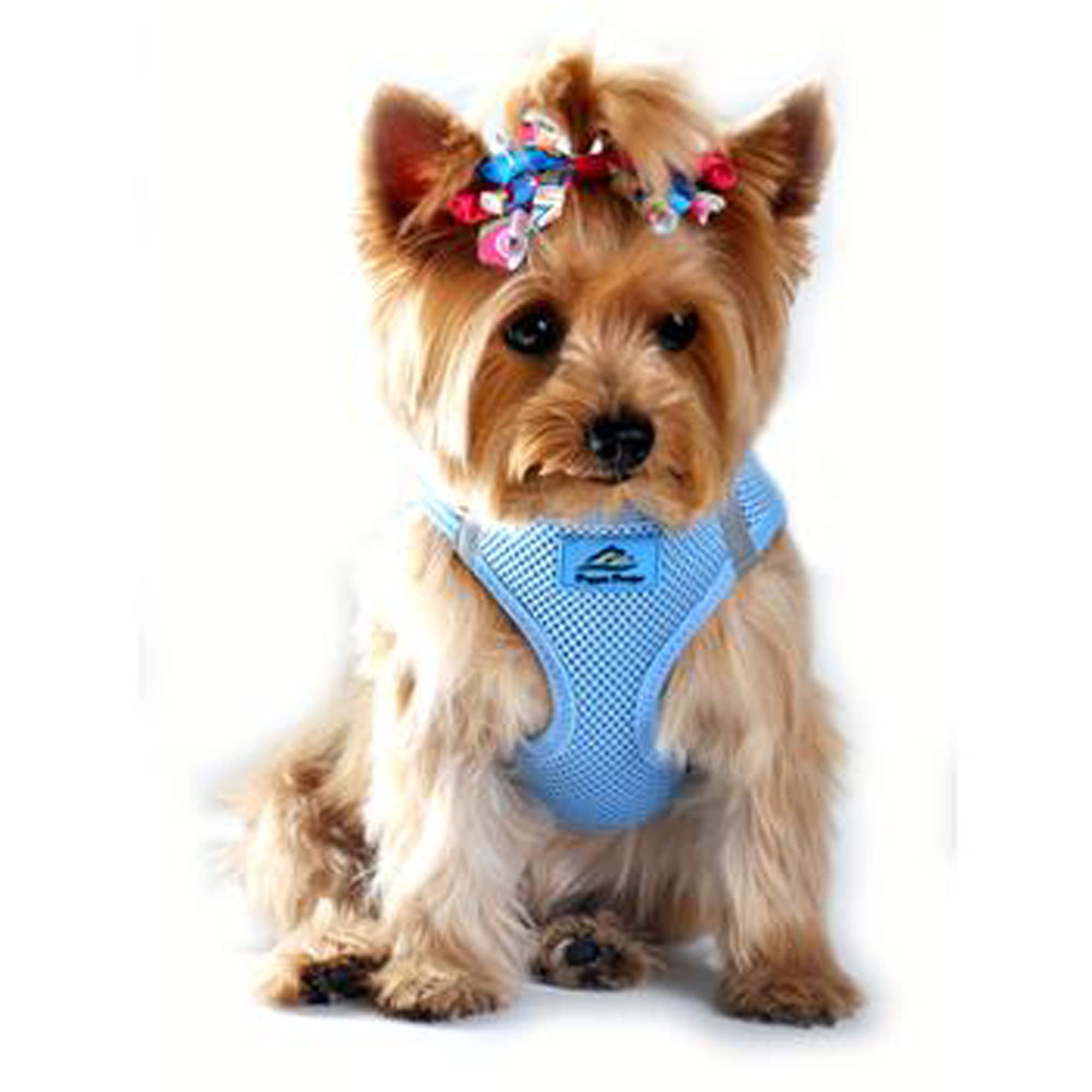 American River Ultra Choke-Free Mesh Dog Harness - Light Blue : See description for size