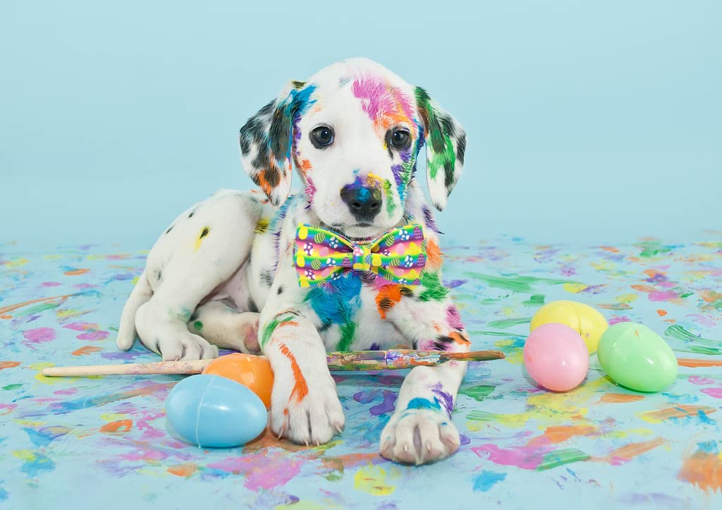 Elegant Little Tail Dog Collar With Bow, Easter Bow Tie Dog Collar, Cute Dog Bowtie Pet Gift Dog Collar For Large Dogs