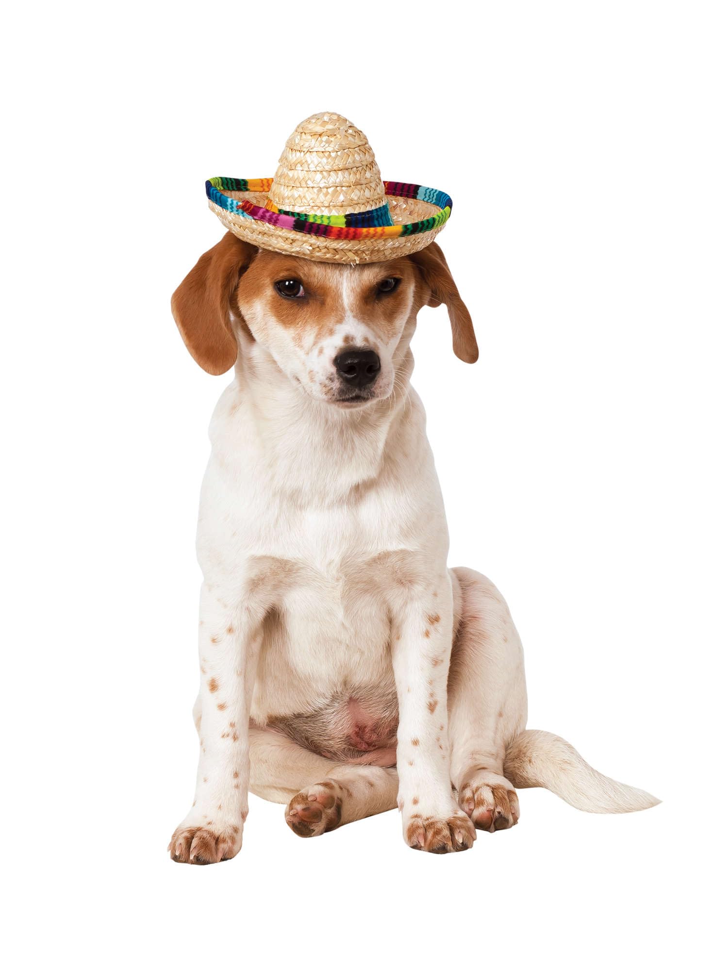 Rubies Costume 888594-M-L Co Pet Sombrero Hat With Multicolor Trim, Medium/Large