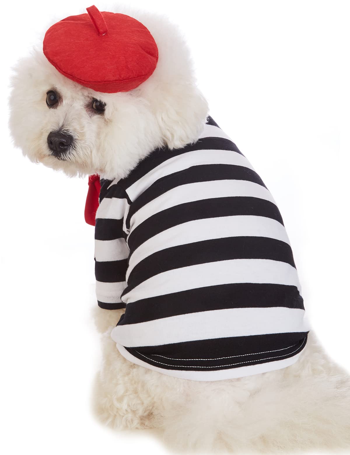 Coomour Artist Dog Costume With Funny Hat Painter Pet Clothes For Small Dog Shirts Puppy Summer T-Shirt (Xl) Black