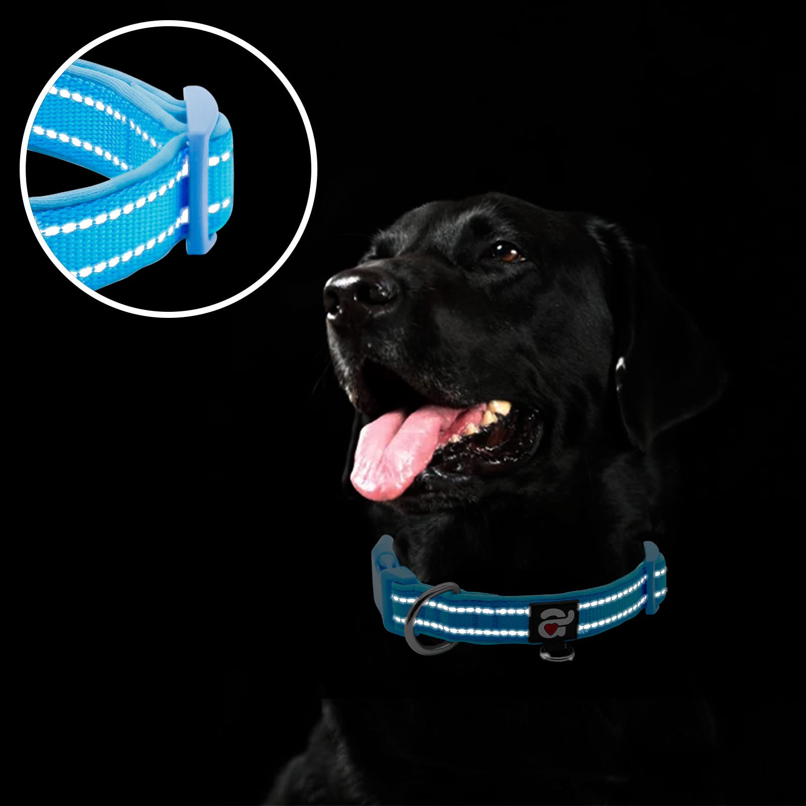 Azuza Reflective Dog Collar,Soft Neoprene Padded Pet Collar With Id Tag Ring,Adjustable For Small Dogs,Sky Blue,S