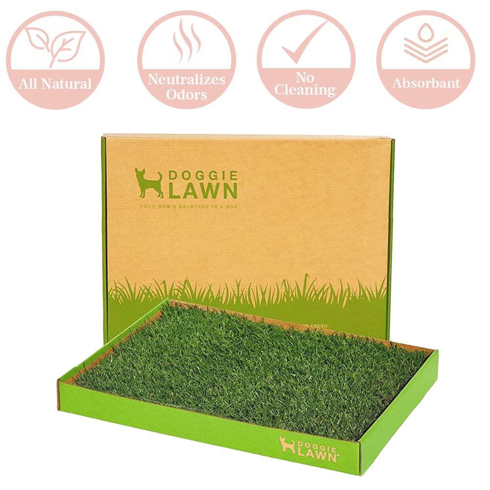 Doggielawn Real Grass Puppy Pee Pads- 24 X 16 Inches - Perfect Indoor Litter Box For Dogs - No Mess, Easy-To-Use - Potty Trainin