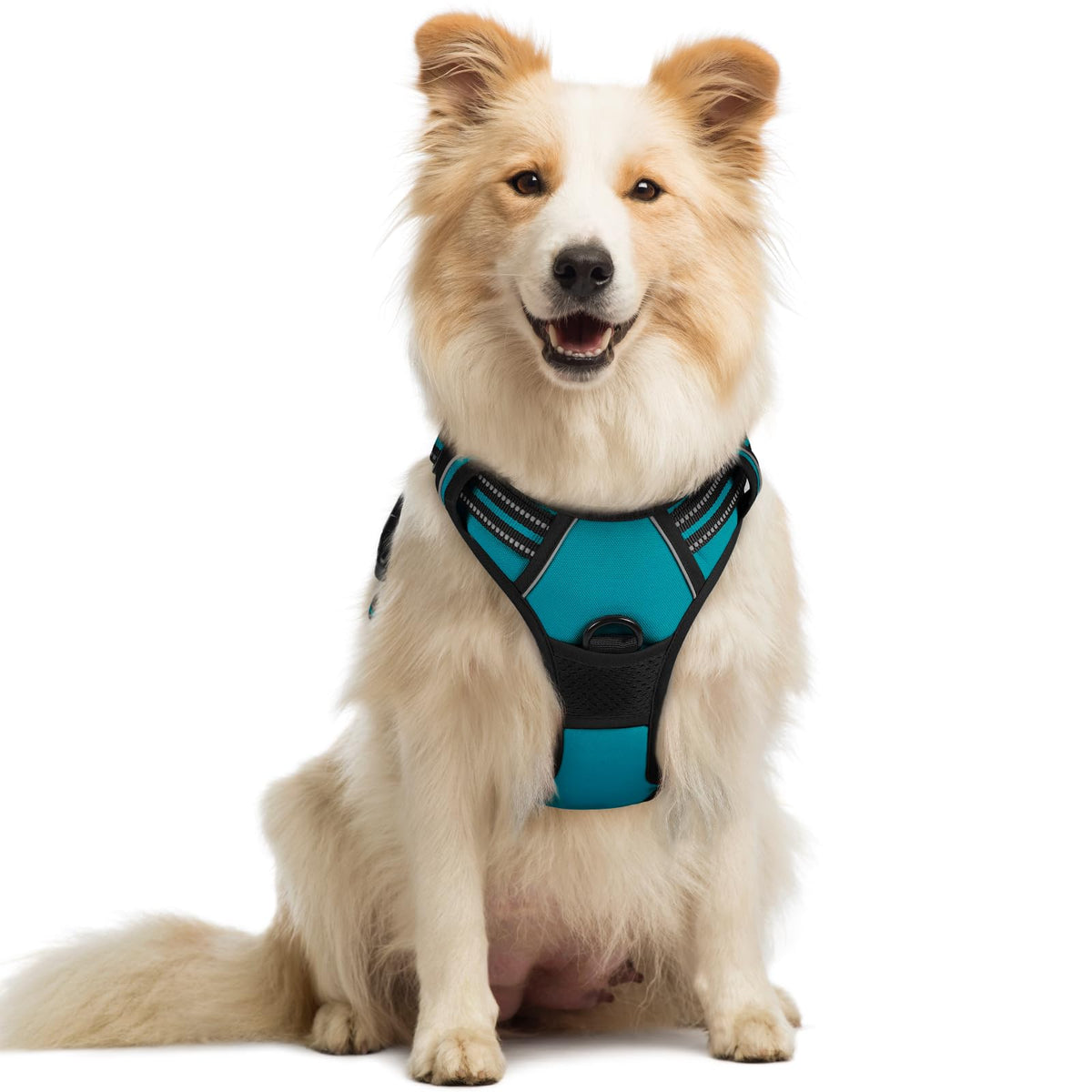 Rabbitgoo Dog Harness No Pull With 2 Leash Clips, Adjustable Soft Padded, Reflective Oxford No Choke Pet Vest With Easy Control Handle For Medium Sized Dogs, Teal, M