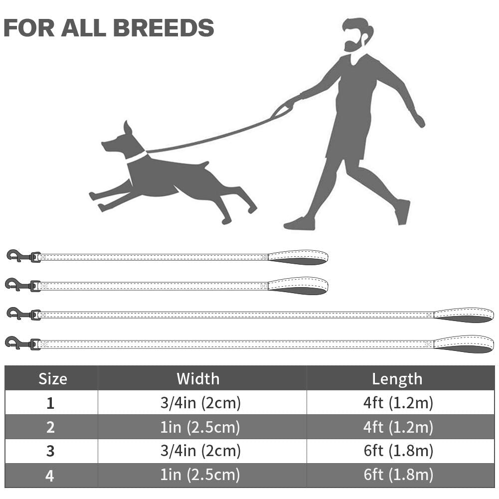 Taglory Nylon Dog Leash 6Ft, Soft Padded Handle Pet Reflective Leashes For Puppy Small Medium Dogs Walking & Training,Tan