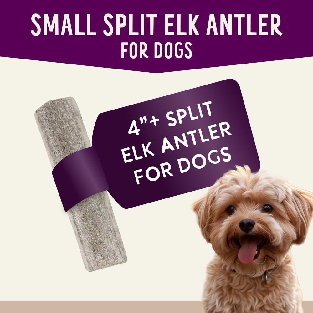Health Extension Natural Elk Antlers for Dogs, Small Sliced - Long-Lasting Chews for Aggressive Chewers, Dental Health Promotion