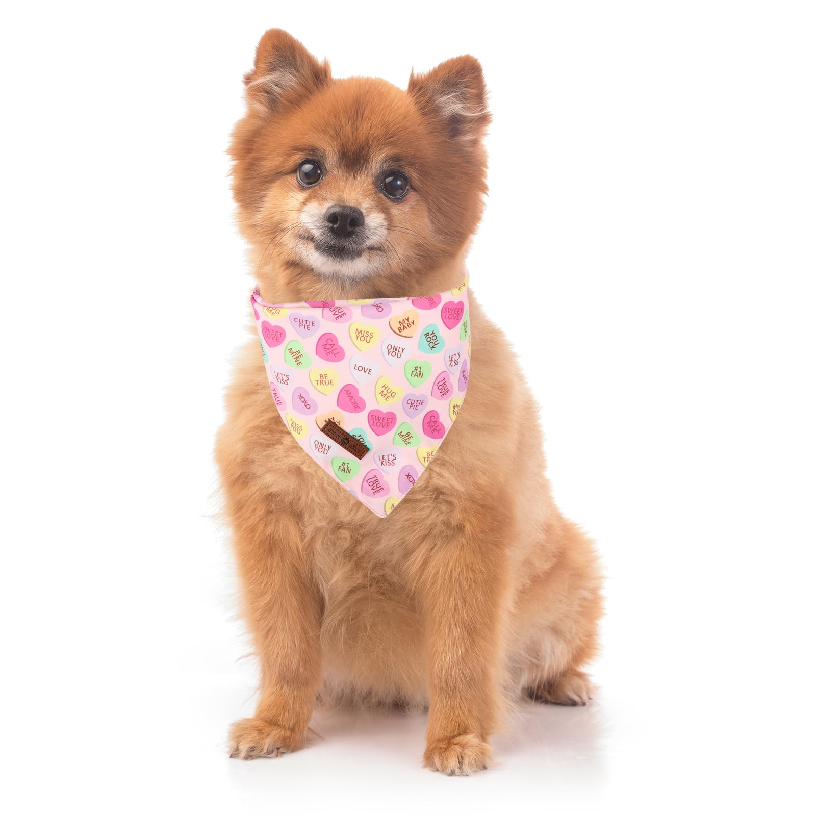 Lionet Paws Valentine'S 2Pcs Dog Bandanas, Red Floral Dog Scarf Bib Premium Fabric, Happy Valentine Heart Bandanas For Small Med