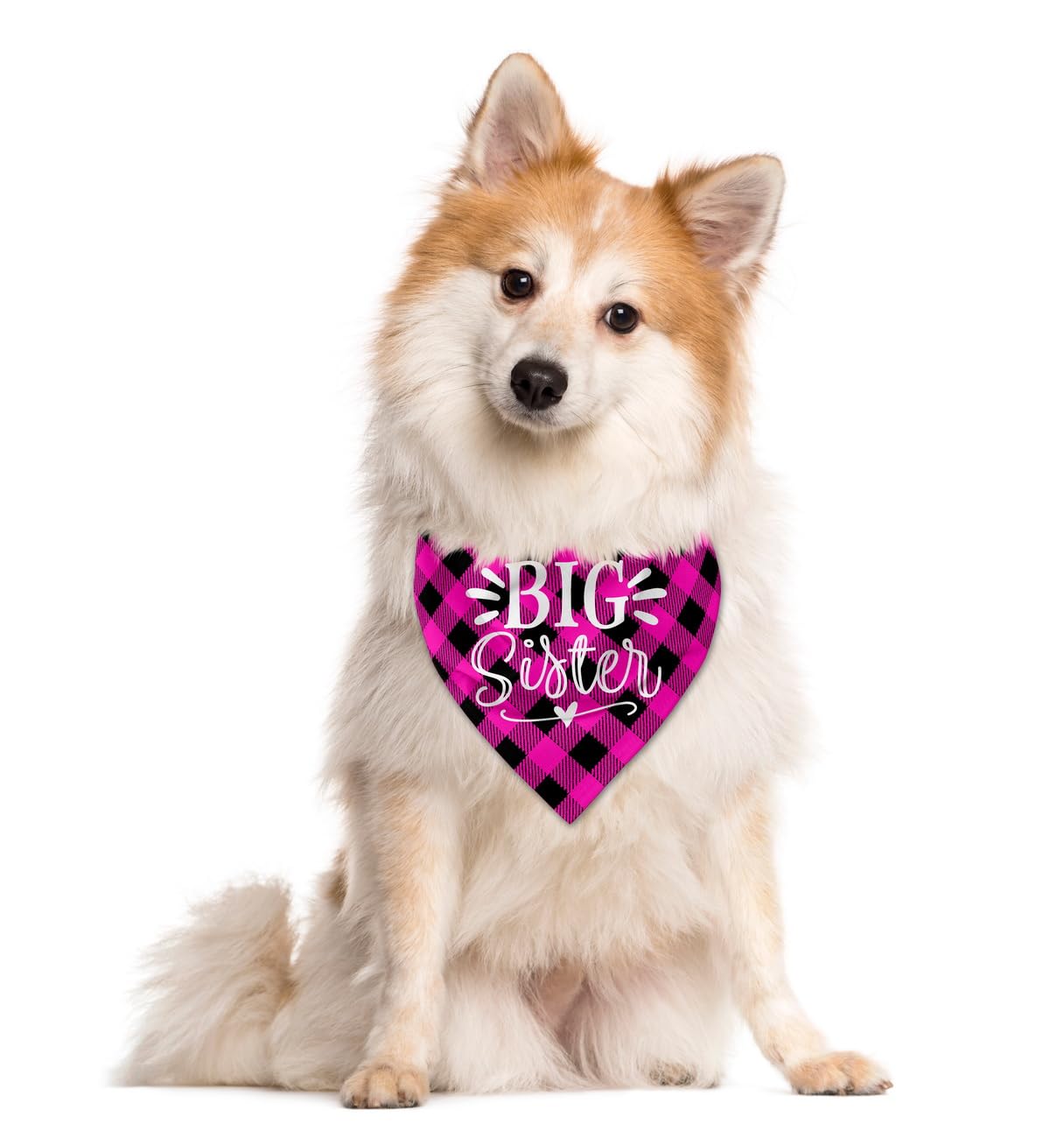 Big Sister Dog Bandana, Buffalo Plaid Pet Scarf, Pet Scarf Accessories, Baby Announcement Dog Bandana, Dogs Bandana Gift For Sma