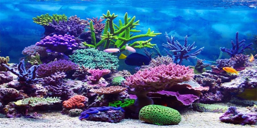 YongFoto Ocean Theme Fish Tank Background 36x18 inch Coral Seaweed Reef Rock Tropical Fish Underwater Sea World Polyester Backdr
