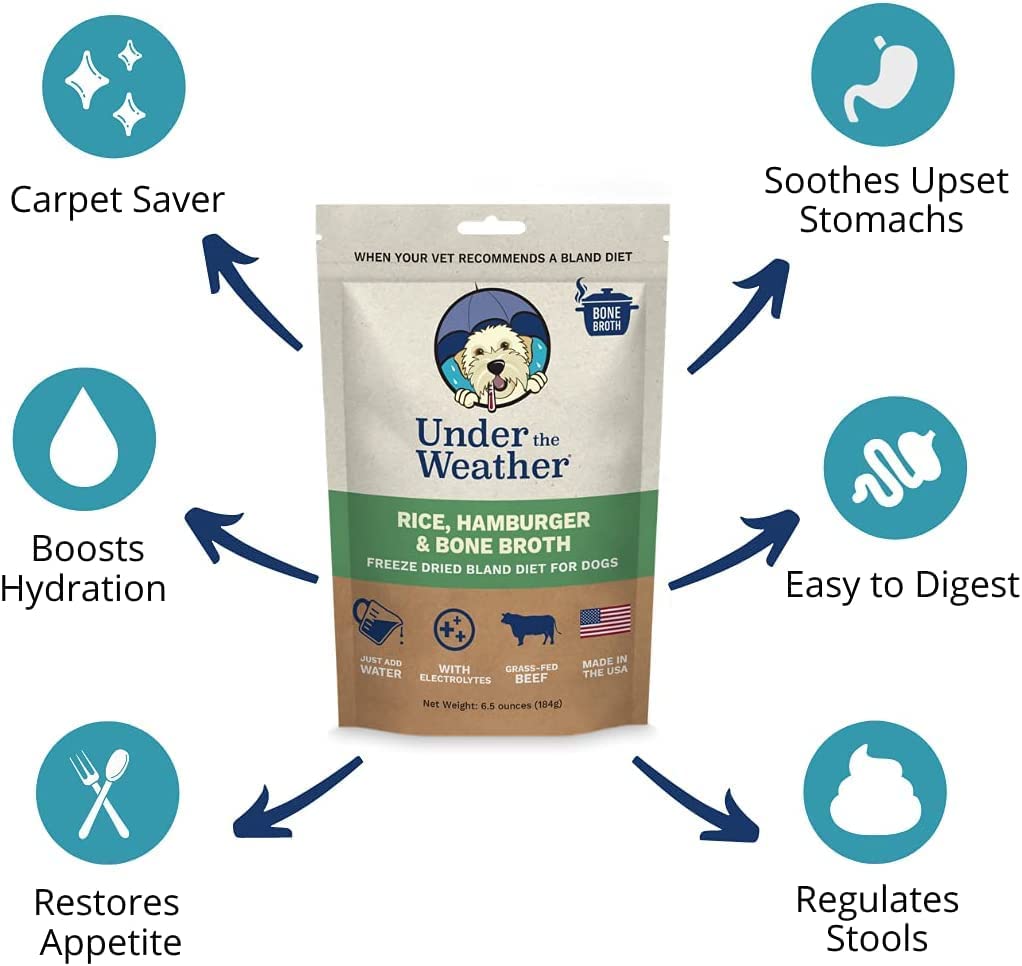 Under the Weather Easy to Digest Bland Dog Food Diet for Sick Dogs | Contains Electrolytes | Gluten Free, Freeze Dried 100% Huma