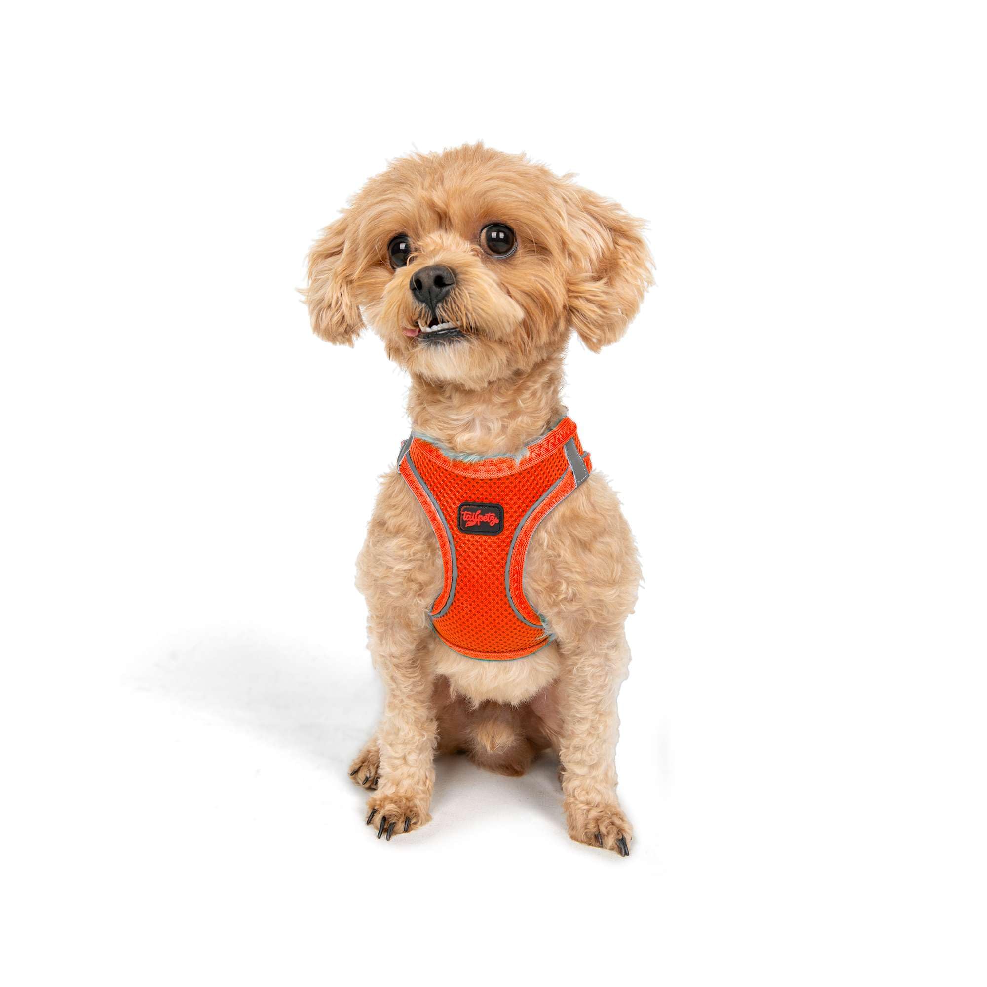 Tailpetz Dog Harness with Breathable Mesh, Reflective, Step-in, No Pull Dog Vest Harness for Small and Medium Dogs and Cats, Neo