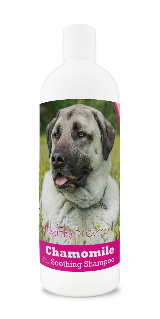 Healthy Breeds Anatolian Shepherd Dog Chamomile Soothing Dog Shampoo 8 oz