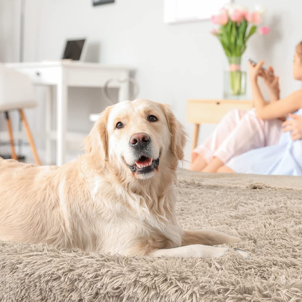 Petami Waterproof Dog Blanket For Small Medium Dogs, Calming Fleece Cat Blanket, Couch Protector Washable Sherpa Faux Fur Pet Throw For Puppy, Soft Reversible 29X40 Taupe