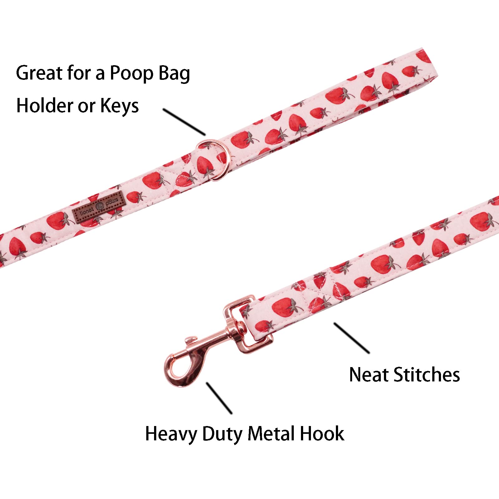 Lionet Paws Strawberry Dog Leash Matching Dogs Collar For Small Medium Dog
