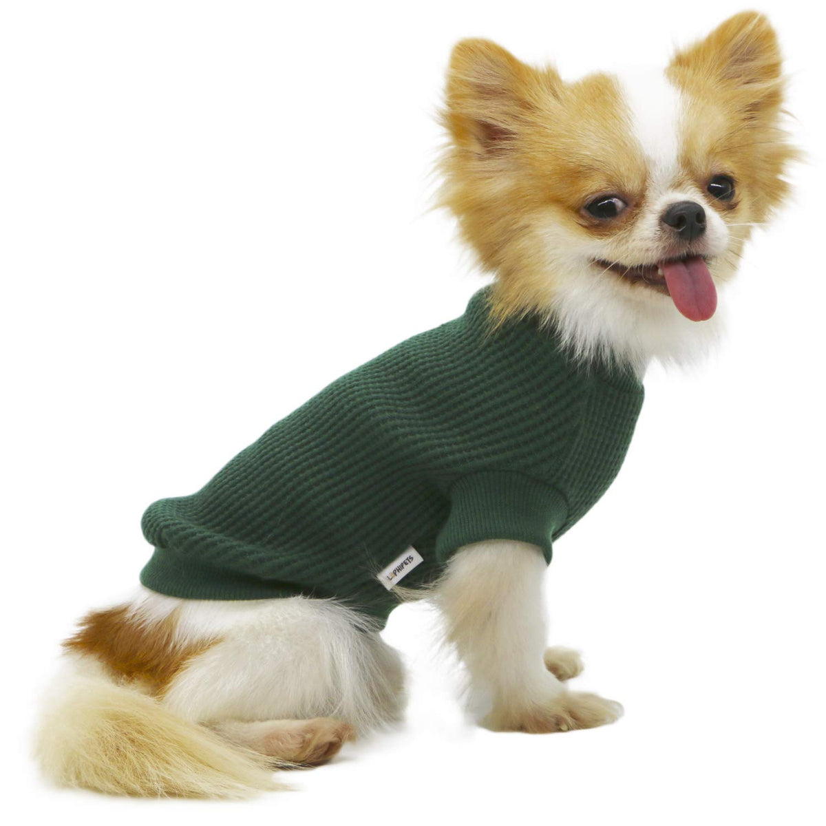 Lophipets Lightweight Dog Sweaters For Puppy Small Dogs Puppy Chihuahua Yorkie Clothes-Atrovirens/Xl