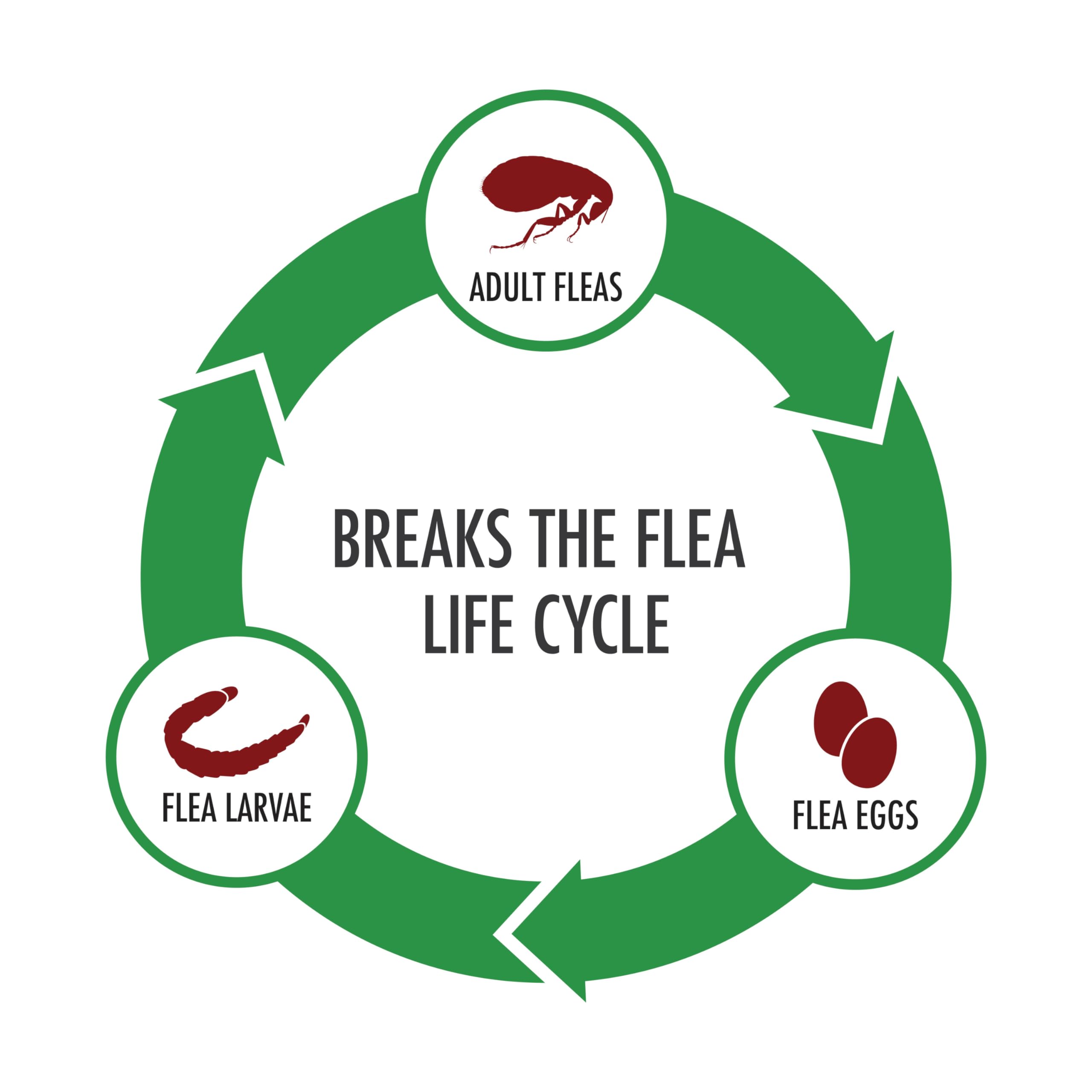 Advecta Plus Flea Prevention For Cats, Cat and Kitten Treatment & Control, Small and Large, Fast Acting Waterproof Topical Drops