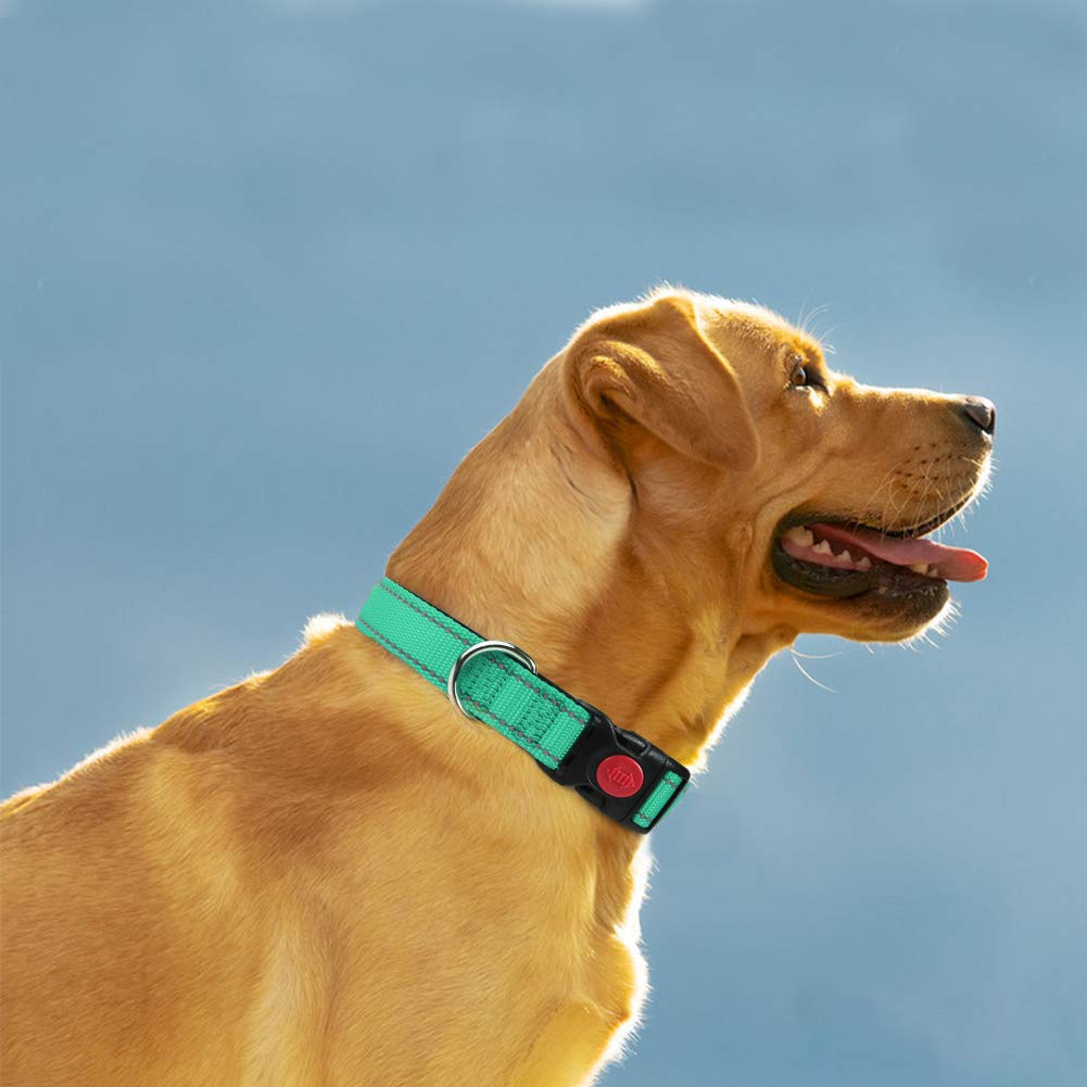 Taglory Reflective Dog Collar With Safety Locking Buckle, Adjustable Nylon Pet Collars For Large Dogs Female Male, Turquoise, L