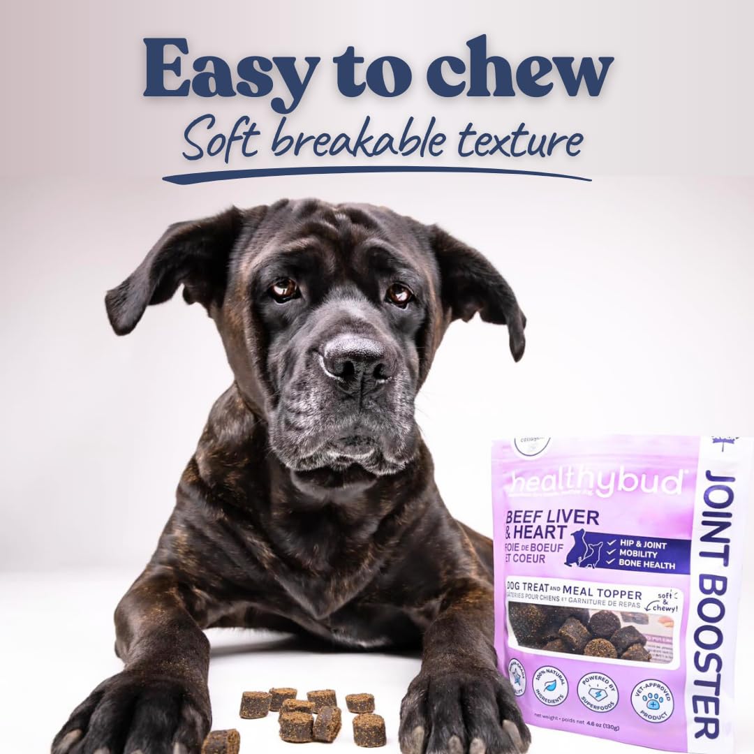 healthybud Hip and Joint Dog Treats - Glucosamine Soft Beef Liver Bites for Senior Dogs, Arthritis Support 14.1oz