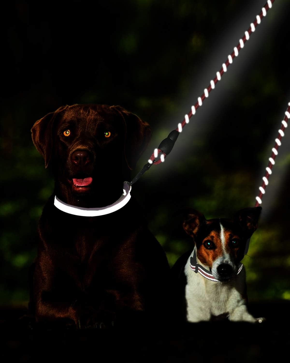 Taglory Double Dog Leash | Reflective Rope | No Tangle | Double Leash For Two Dogs | Puppy Small Medium Breeds | Black