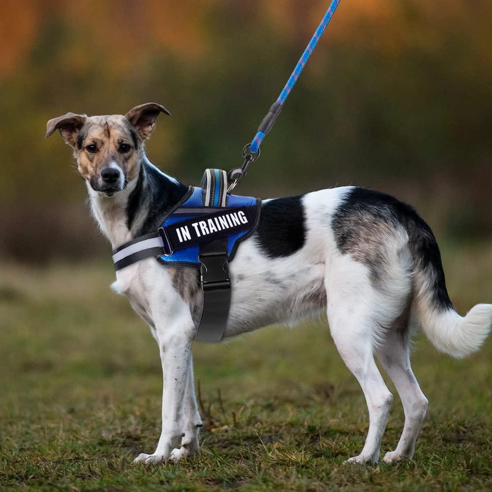 Service Dog Vest Harness And Leash Set, Animire In Training Dog Harness With 8 Dog Patches, Reflective Dog Leash With Soft Padded Handle For Small, Medium, Large, And Extra-Large Dogs (Blue,S)