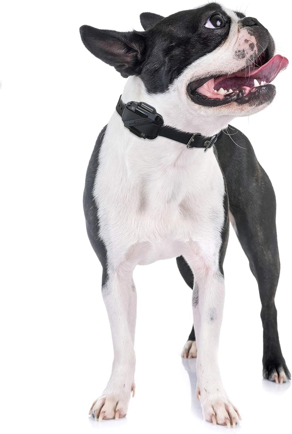 Educator CPAD-005 Dog Training Collar Receiver Comfort Pad, Improves Contact, Reduces Irritation and Skin Sensitivities, for Bar