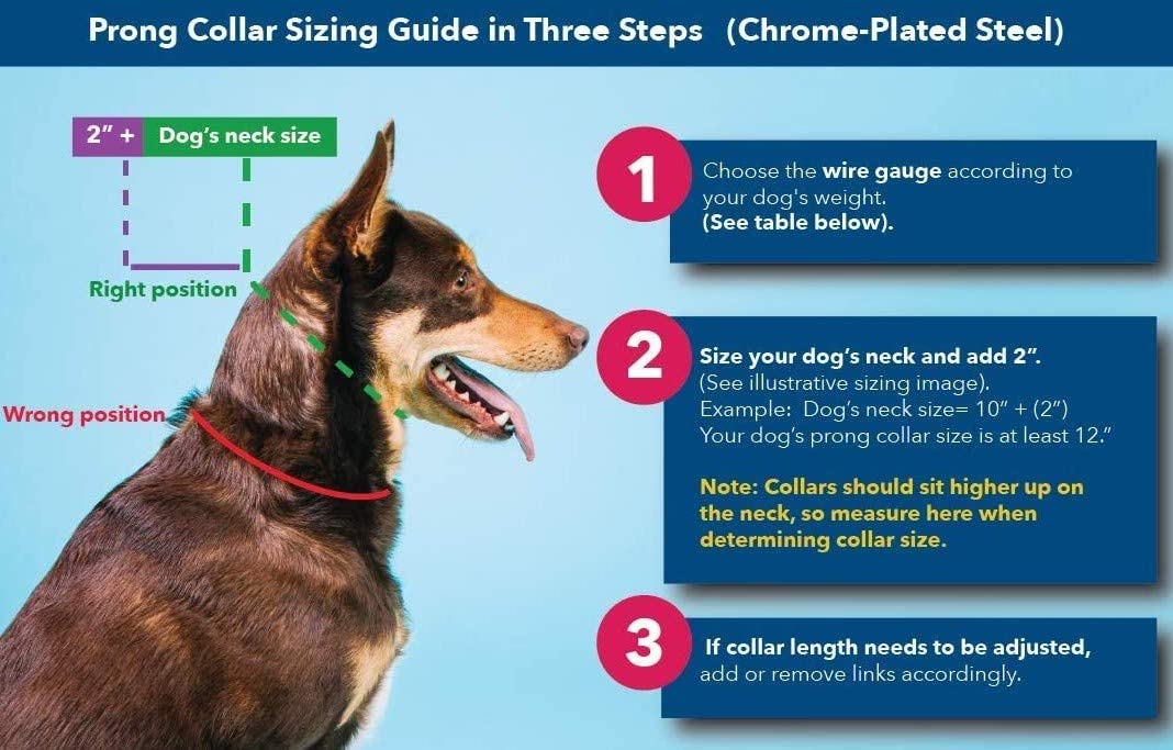 Herm Sprenger Prong Collar For Dog Training With Easy Quick Release Buckle - German Made Dog Collar With Chrome Plated Steel 2.2