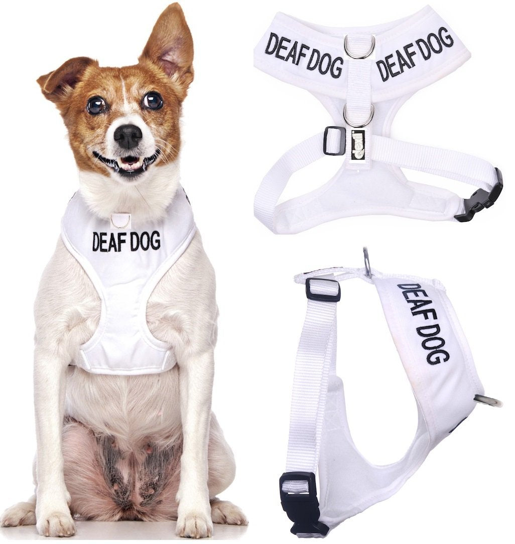 Deaf Dog (Dog Has Limited/No Hearing) White Colour Coded Non-Pull Front And Back D Ring Padded And Waterproof Vest Dog Harness Prevents Accidents By Warning Others Of Your Dog In Advance (S)